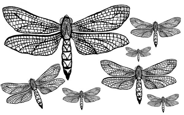 1278471016_55_FT838_winged_friends_dragonfly_ (600x375, 65Kb)