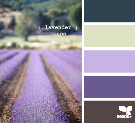 LavenderTones510 (438x400, 182Kb)