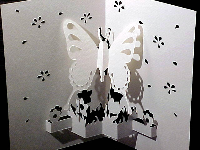 butterfly-white (640x480, 51Kb)