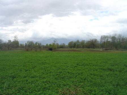 DSC08080 (448x336, 27Kb)