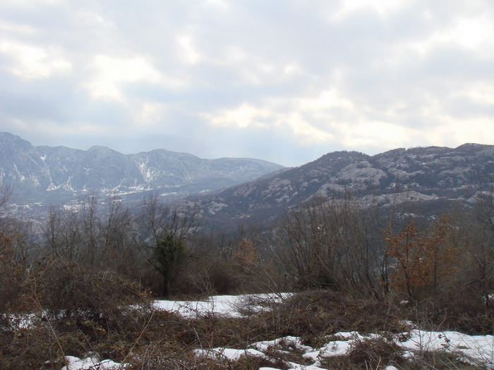 DSC09389 (700x525, 105Kb)