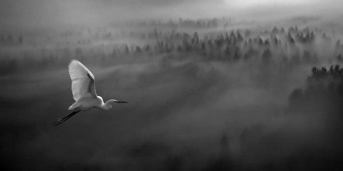 proletaya-nad-tumanom-11 (700x350, 22Kb)