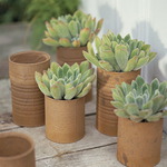  vintage-garden-pots5-7 (540x540, 77Kb)