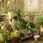  vintage-garden-pots6-1 (550x550, 172Kb)