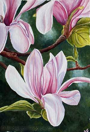 magnolia_2 (300x436, 28Kb)