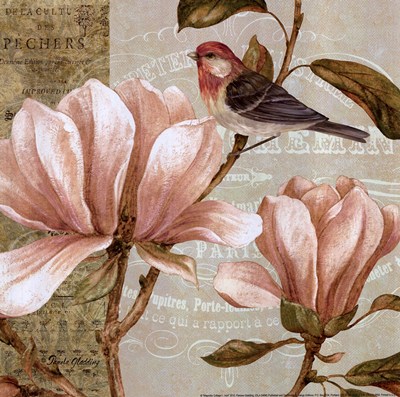 magnolia-collage-i-mini-by-pamela-gladding (400x397, 61Kb)