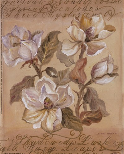 magnolia-l-by-shari-white-41064 (400x496, 54Kb)