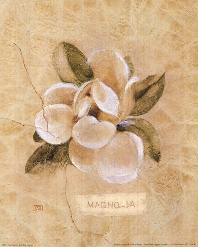 magnolia-on-cracked-linen-by-cheri-blum (400x500, 54Kb)