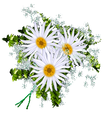 0_469ec_f60ef069_M (226x240, 25Kb)