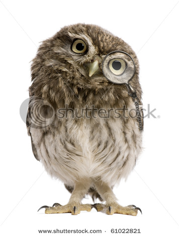 stock-photo-little-owl-wearing-magnifying-glass-days-old-athene-noctua-standing-in-front-of-a-white-61022821 (356x470, 48Kb)