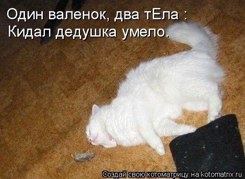 securedownload (17) (480x350, 38Kb)