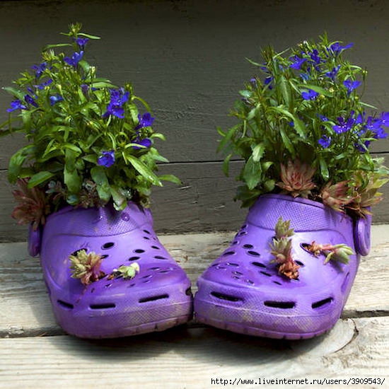 shoes-container-garden[1] (550x550, 212Kb)