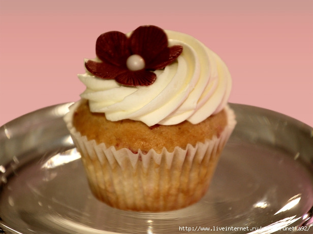 WS0205_Winner-Raspberry-Champagne-Cupcake_s4x3_lg (616x462, 118Kb)