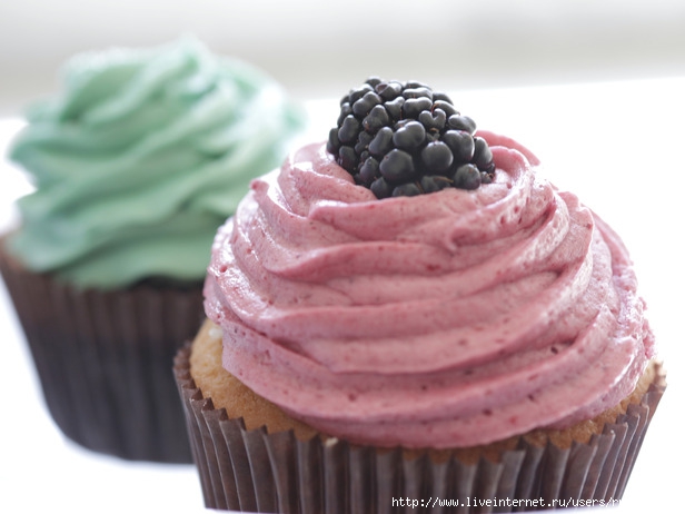 cw_set-art-blackberry-cupcake_s4x3_lg (616x462, 123Kb)