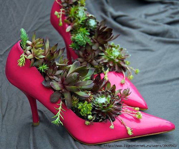 shoes-container-garden3-1[1] (600x500, 176Kb)