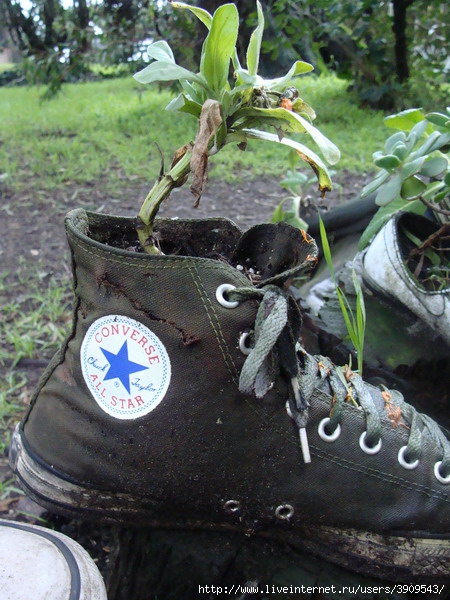 shoes-container-garden4-3[1] (450x600, 217Kb)