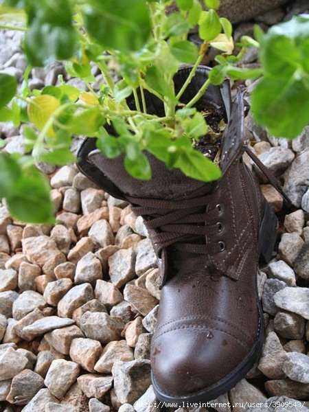 shoes-container-garden5-5[1] (450x600, 198Kb)