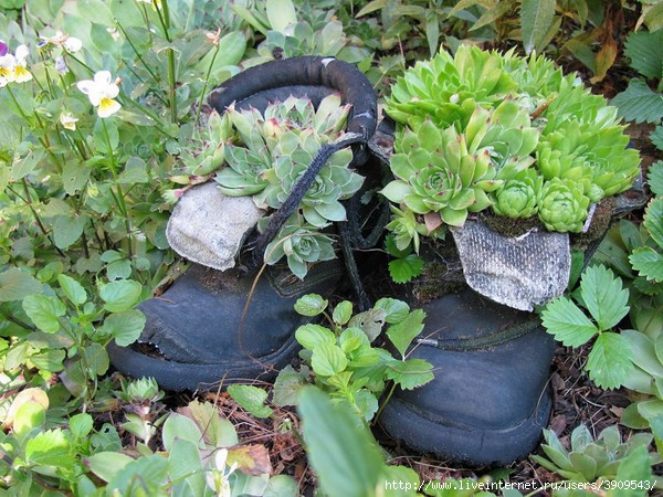 shoes-container-garden5-7[1] (600x450, 264Kb)