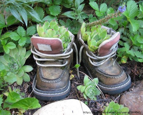 shoes-container-garden5-9[1] (600x480, 237Kb)