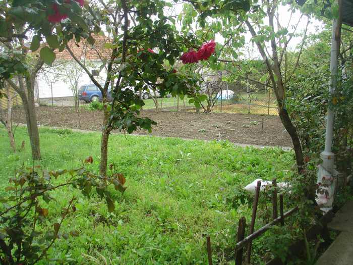 ��� 3 (700x525, 654Kb)