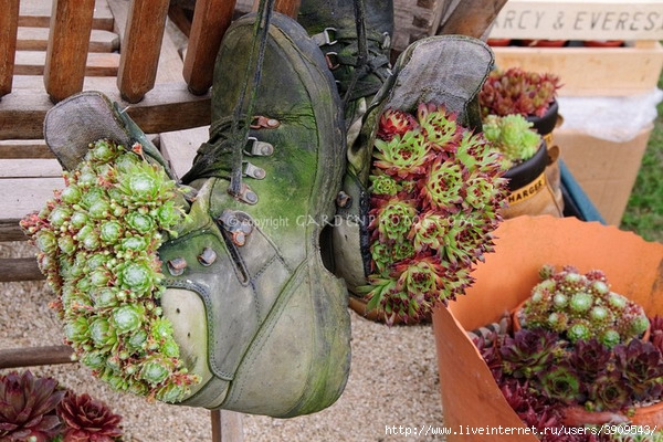 shoes-container-garden5-15[1] (600x400, 222Kb)