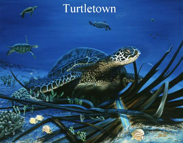turtletown (600x469, 145Kb)