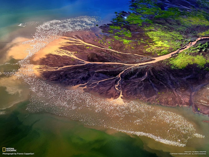 3869930_NationalGeographic211 (700x525, 229Kb)