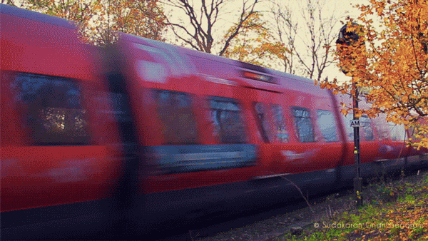 2901825_84355205_animated_photos_15 (600x338, 1827Kb)