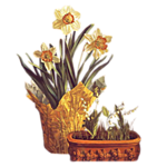 0_7bdb4_18f2bcf4_S.png (150x150, 32Kb)