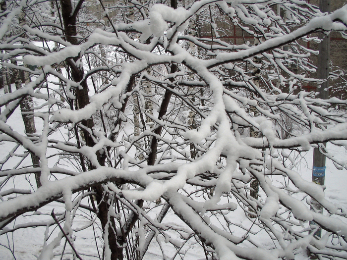 5 2012 009 (700x525, 554Kb)