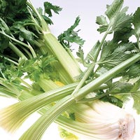 Celery11(zdorovie.com) (200x200, 13Kb)
