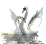 59238978_1483d5c8a61e (183x178, 40Kb)