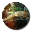 1334645264_Bezimeni1kopiya6 (110x110, 21Kb)