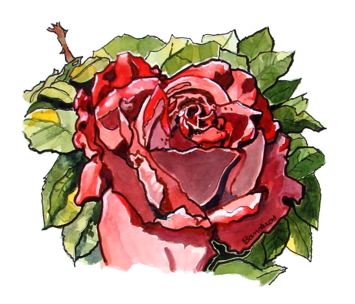 Detailed Rose 1 BESTt (700x598, 244Kb)