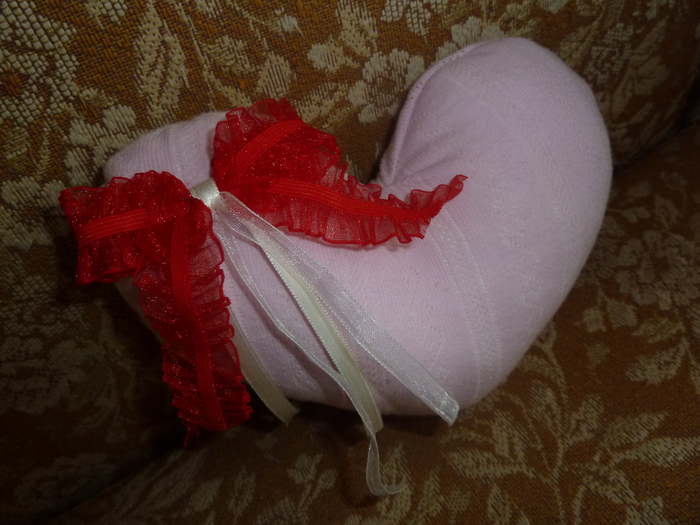 P1000958 (700x525, 392Kb)
