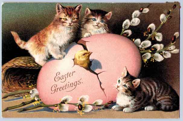 23255997_easter_kittens_pussy_willow (606x400, 23Kb)