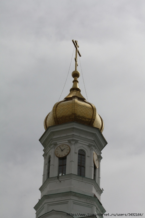 IMG_5579 (466x700, 121Kb)