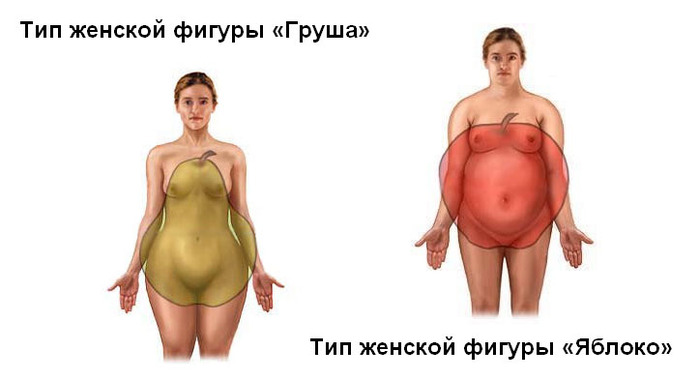 4896000_grusha (700x380, 42Kb)