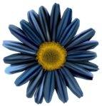 FM-Jeans and Flowers Element-67 (450x470, 227Kb)