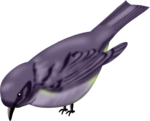  nnw_lilbird1 (700x564, 295Kb)