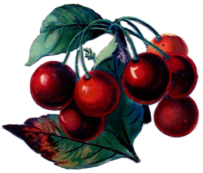 1ascrapcherries-graphicsfairy005 (700x596, 266Kb)