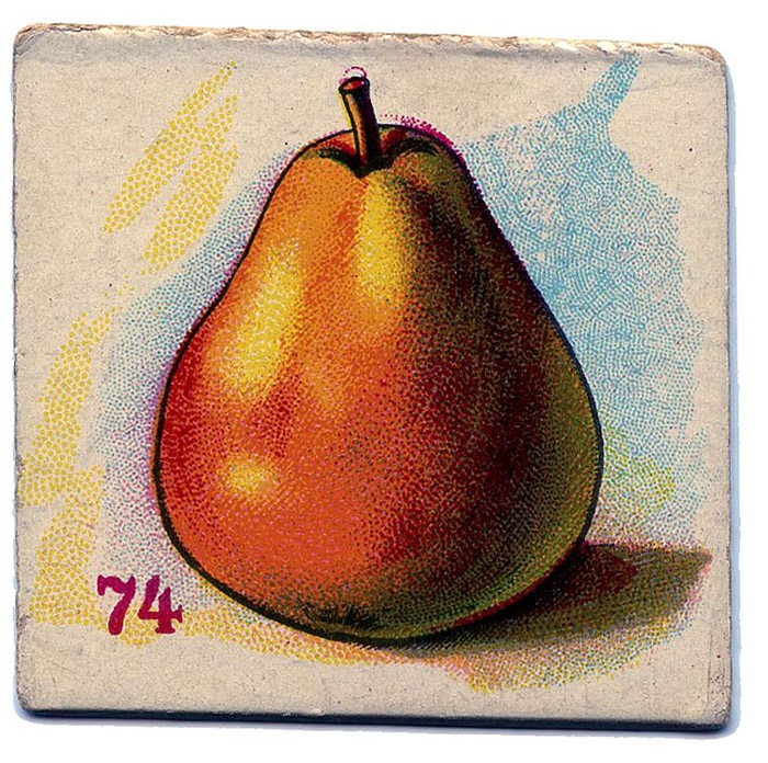 fruit-card-pear-vintage-graphicsfairy009 (700x696, 179Kb)