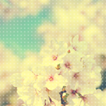 1334479977_3 (150x150, 37Kb)