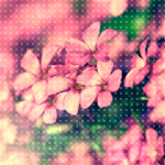1334480009_5 (150x150, 50Kb)