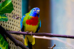  IMG_3093 (700x466, 97Kb)