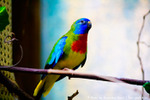  IMG_3097 (700x467, 220Kb)