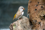  IMG_3104 (700x467, 325Kb)