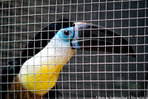  IMG_3131 (700x466, 142Kb)