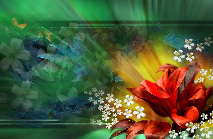 flowers-pictures_018 (700x456, 52Kb)