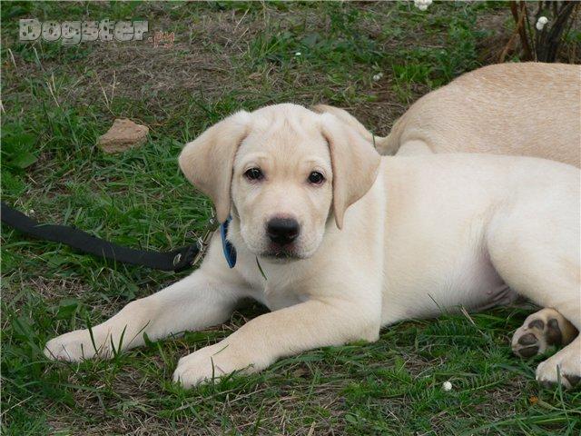 28216_800x700 (640x480, 71Kb)